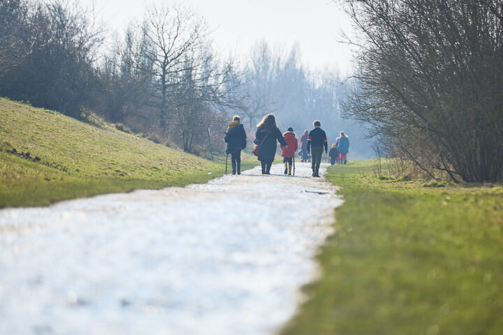 Group of people in the distance on a path in a park