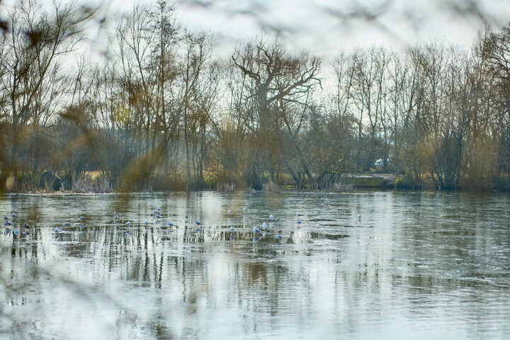 Enjoy the bird and wildlife spotting opportunities