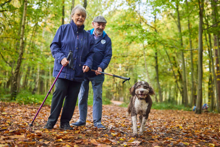 Dogs are welcome at our parks