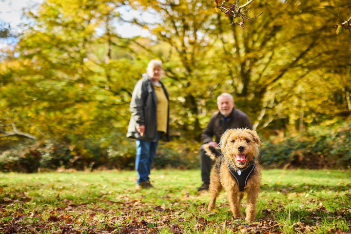 Thorndon Country Park