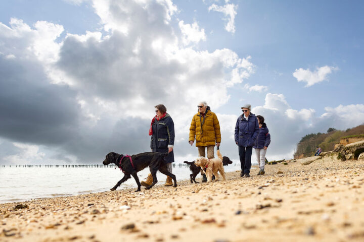 Take a seaside stroll