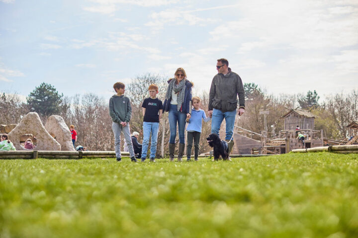 Family and dogs at Cudmore Grove