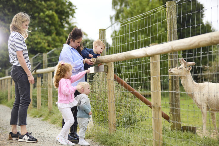 Family at deer enclosure