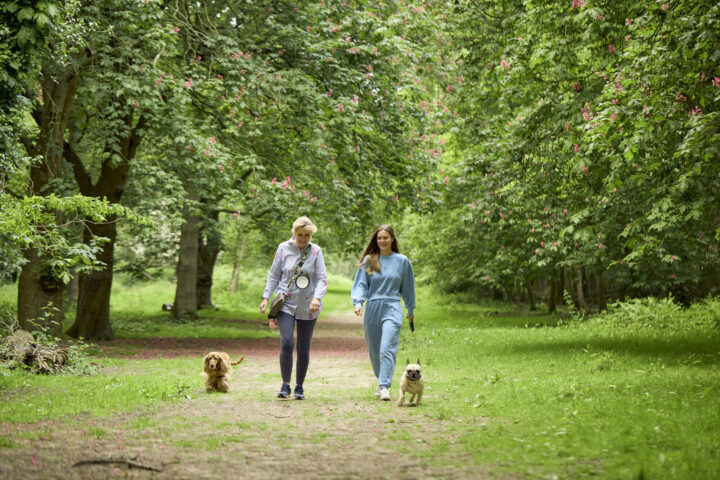There's something for everyone at Weald
