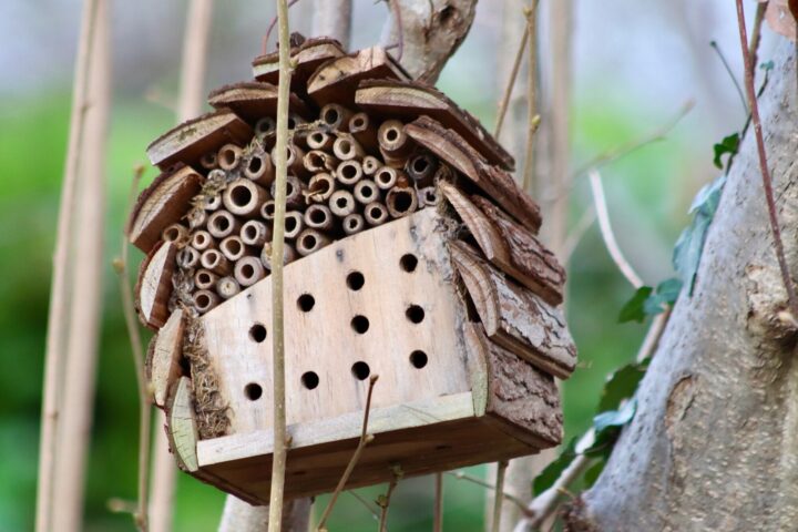 Build a bee hotel