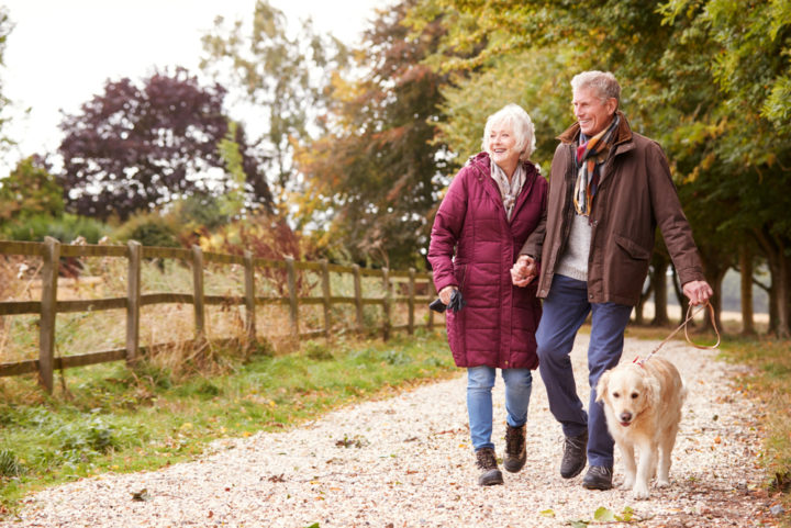 An older couple walking their dog.