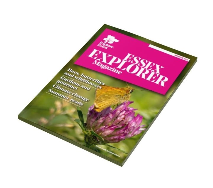 Summer edition front cover