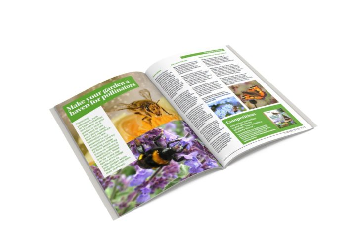 Pollinators
