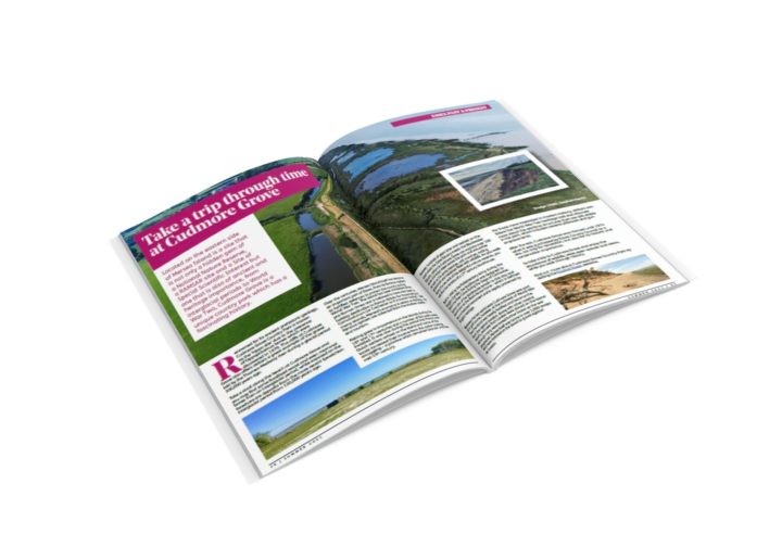 History of Cudmore grove