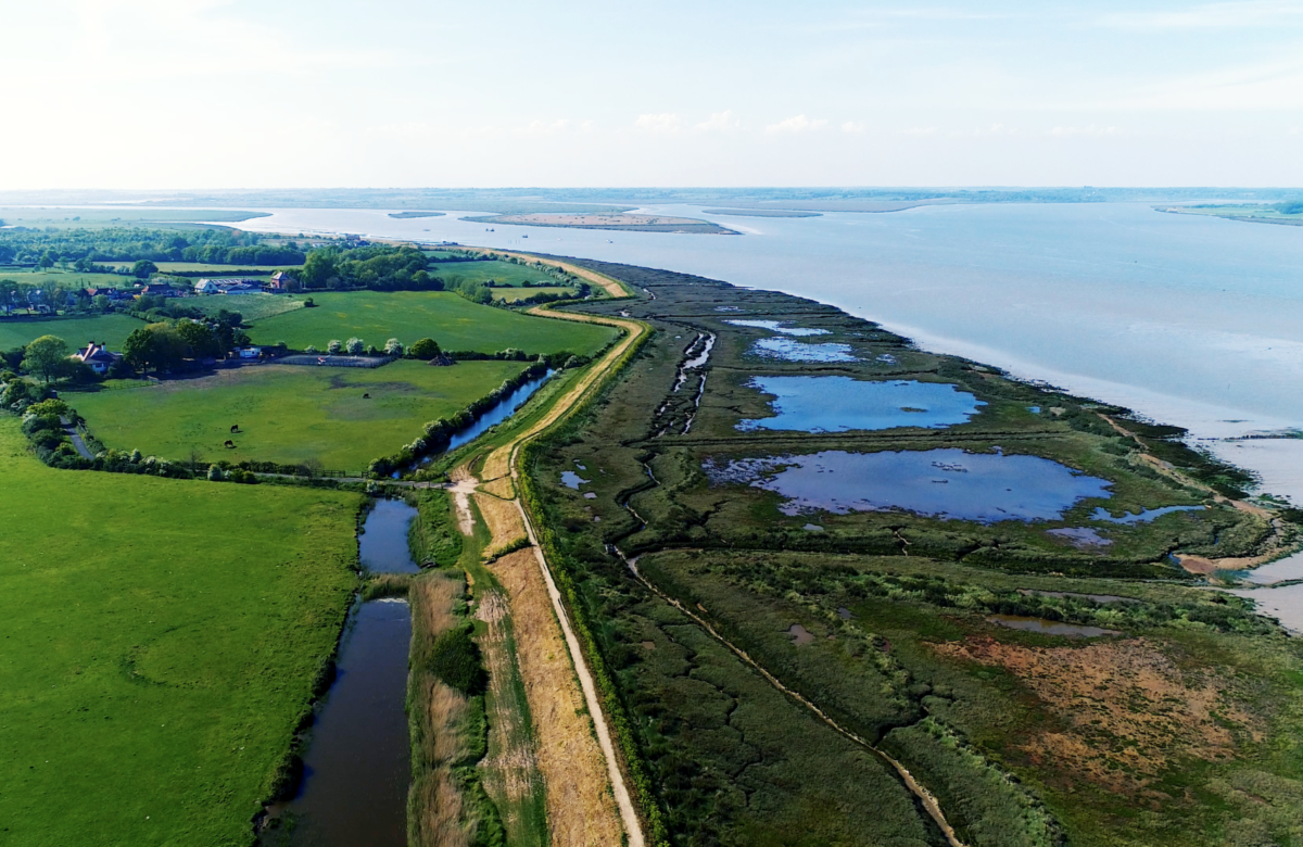 Cudmore Grove ESSEX DRONES 3032