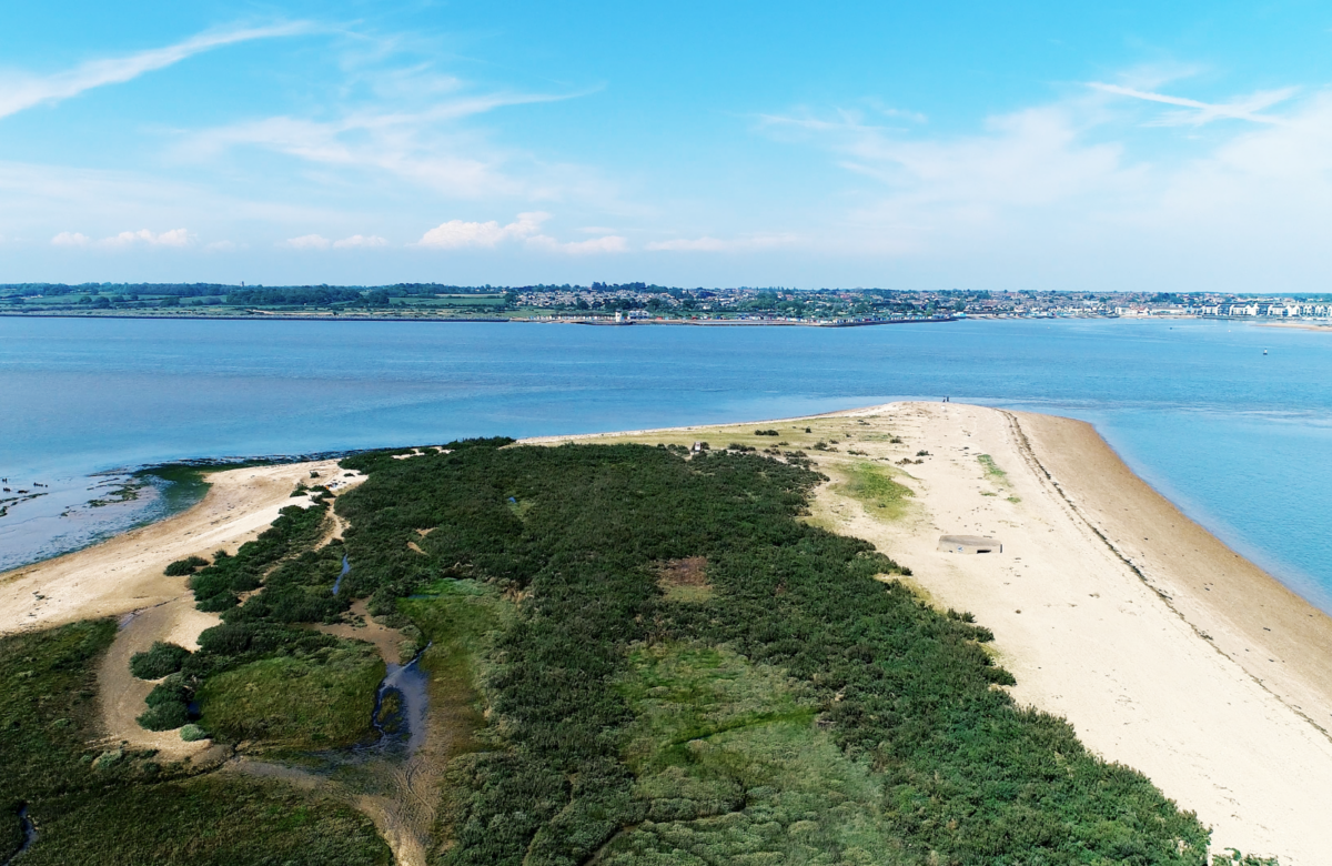 Cudmore Grove ESSEX DRONES 3030