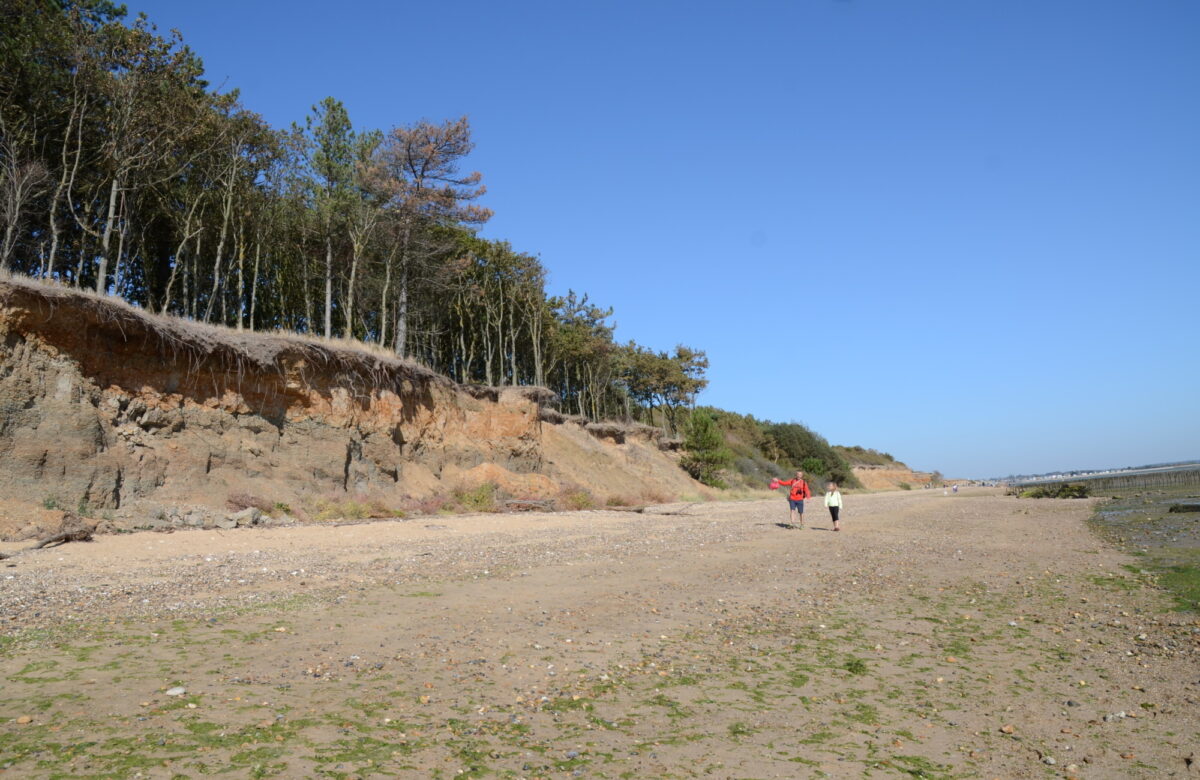 People waling along the coast during the day