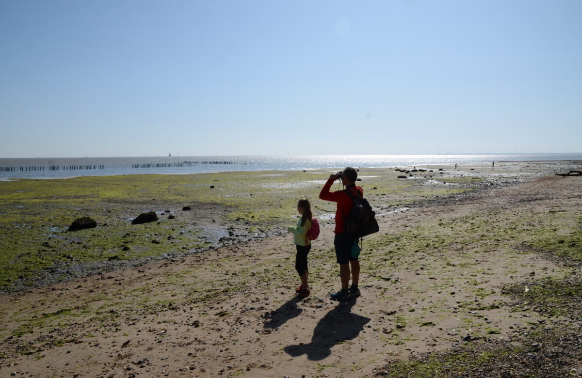 A man and young girl exploring the coast