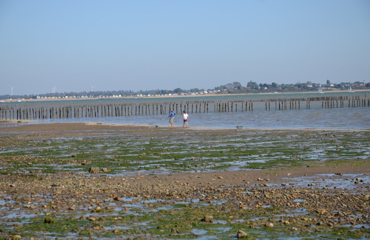 A stony beach at low tide during the day