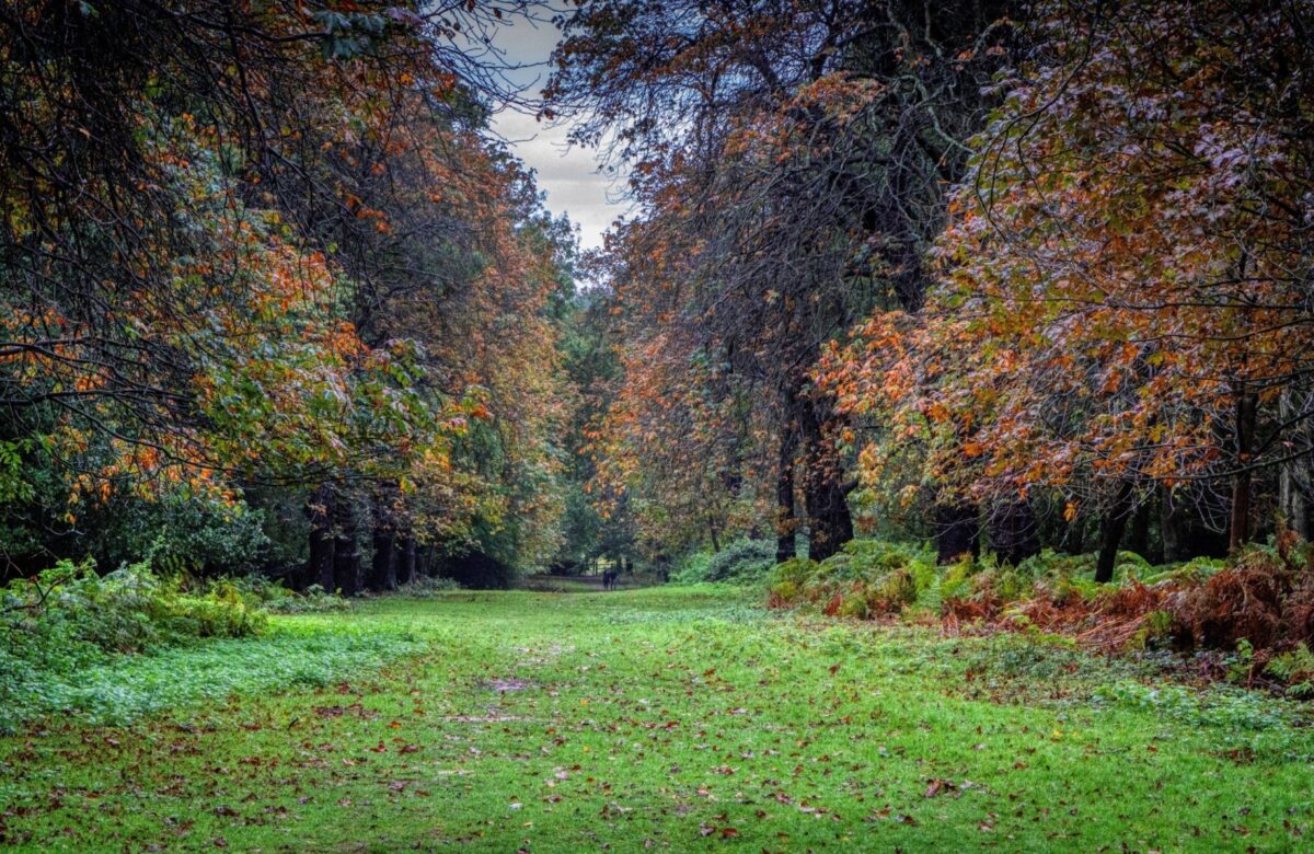 Andrew Adams photo small