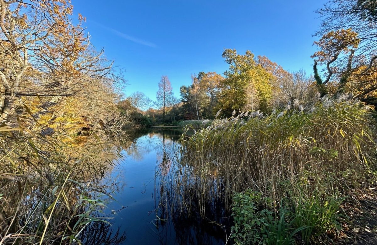 Autumn winter at the fishing lake Danbury Nov 23