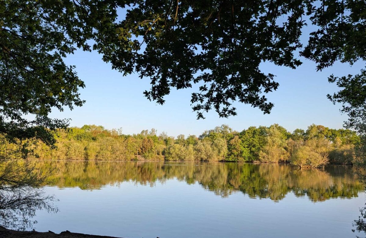 Belhus Lake Rob Goodrick