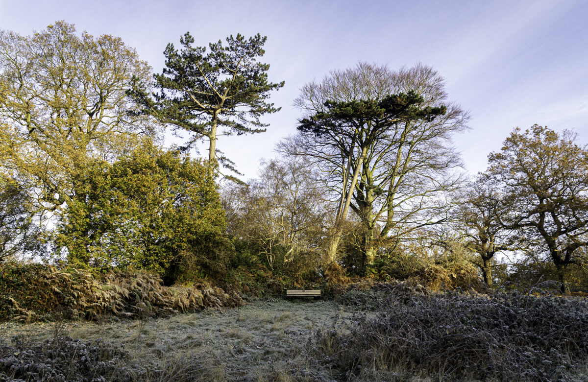 Bench Frosty Morning SW1