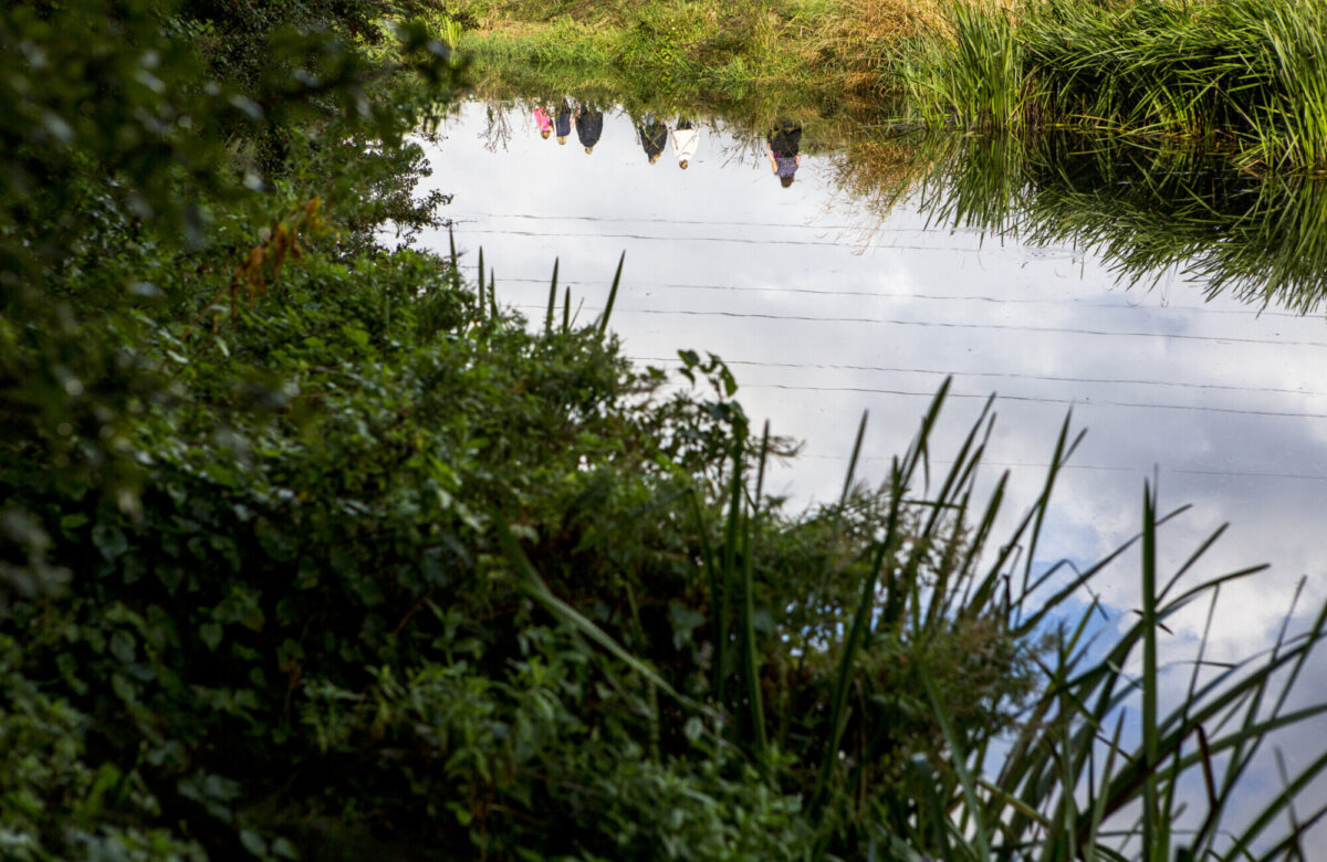 Blackwater Navigation Canal Beeleigh Sept15 3256 SOP