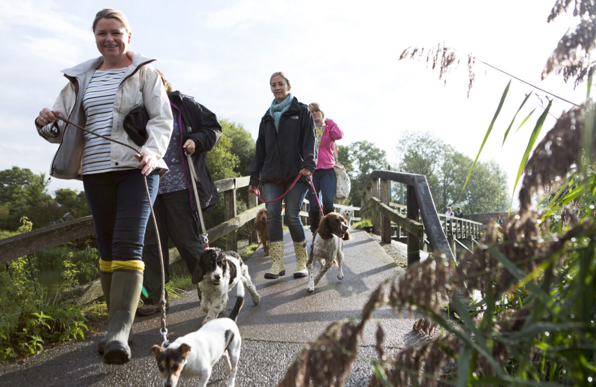 Dog walkers Beeleigh Sept15 3194 SOP