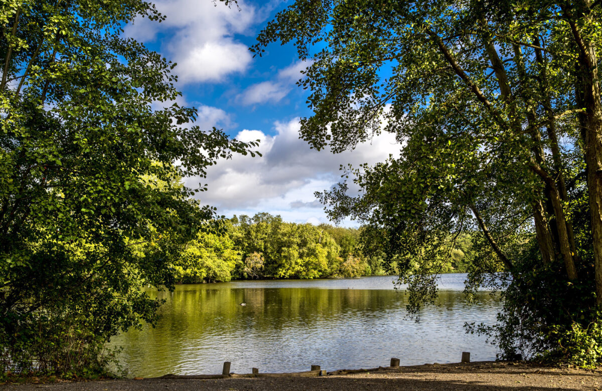 Lake and trees at Weald
