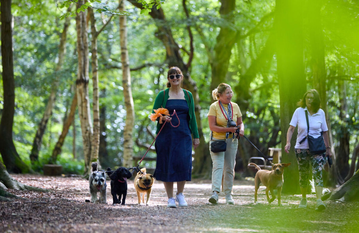 EE Thorndon Weald 24 0059