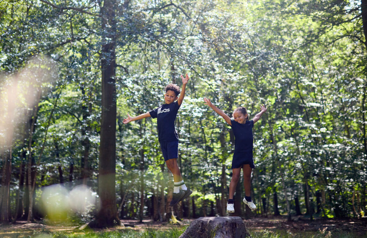 EE Thorndon Weald 24 0438