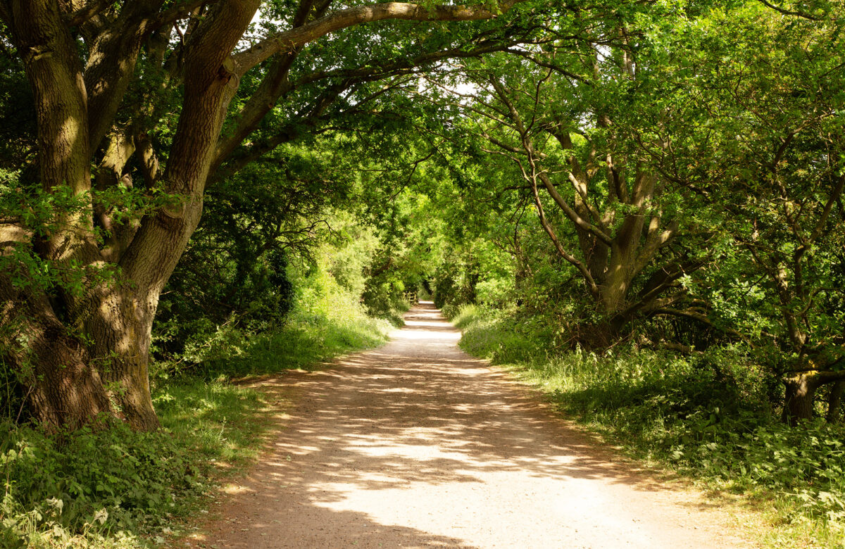 Flitch Way 1