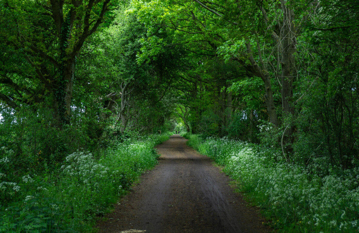 Flitch Way 3