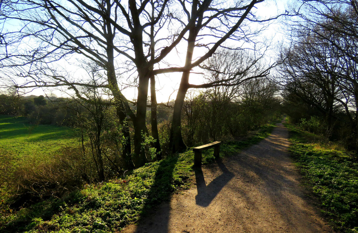 Flitch Way 4