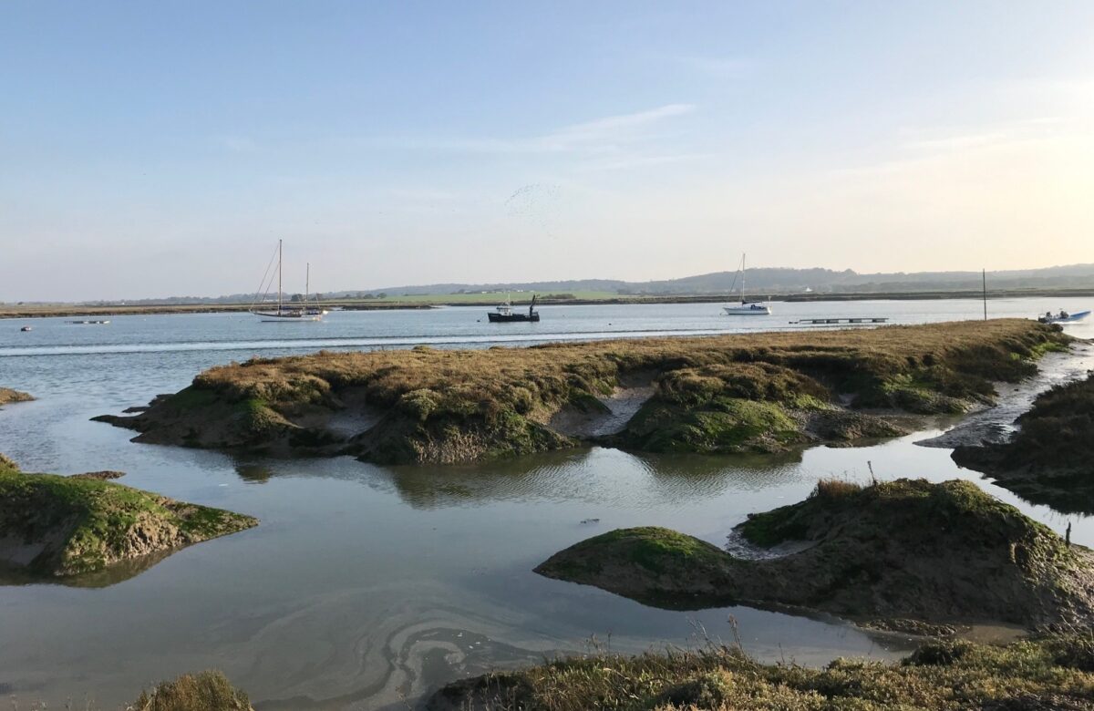 Inlets on the river Crouch at Marsh Farm