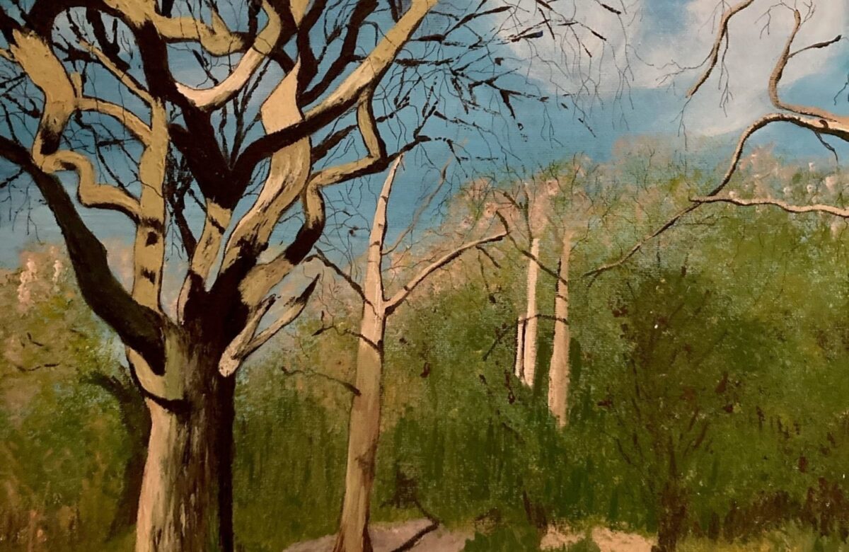 Entry by Kay Fuller