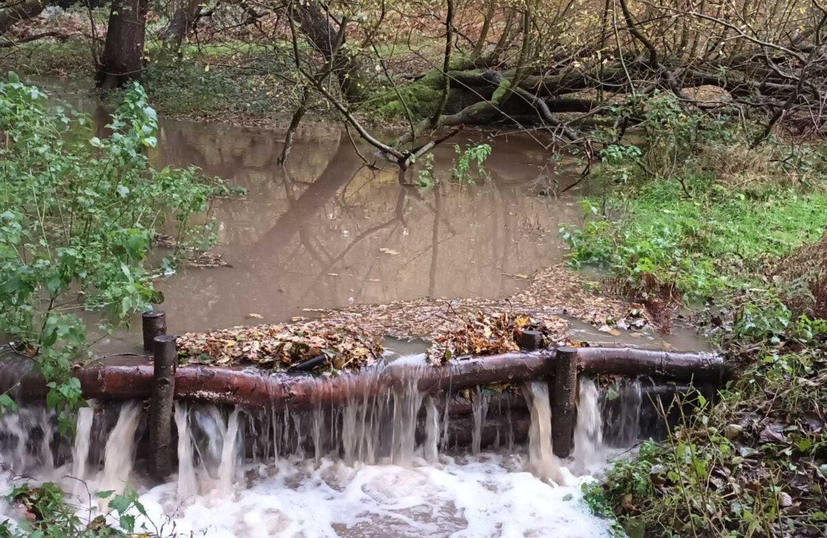 Leaky dam in action at Weald
