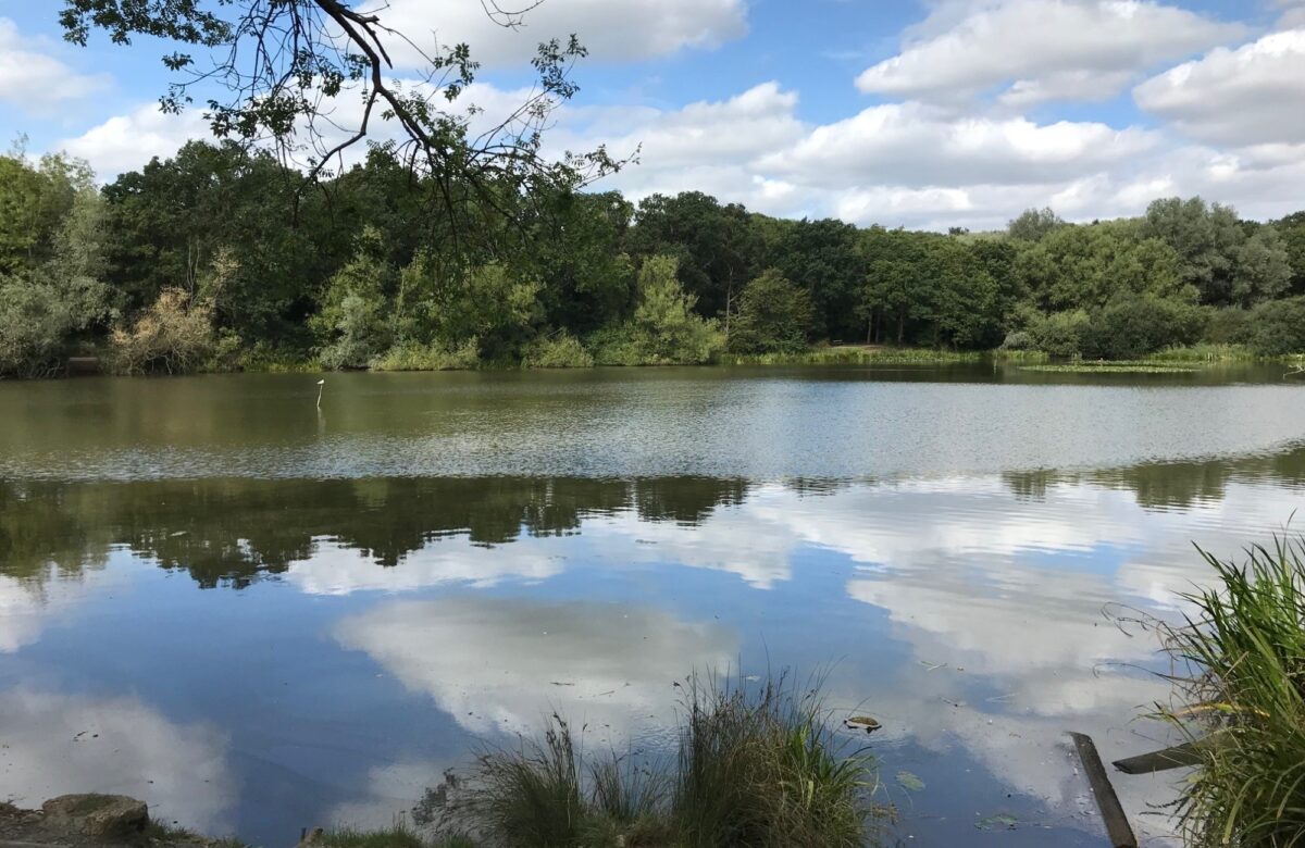 Old Hall Pond