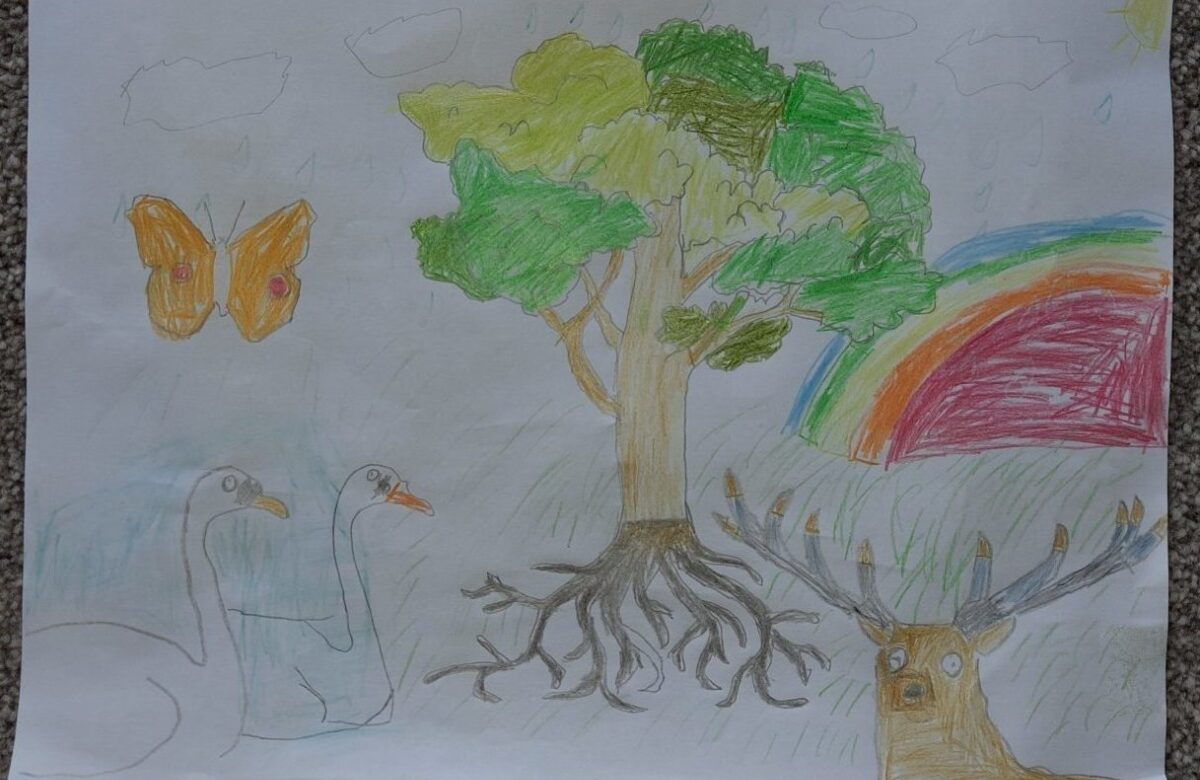 Entry by 8-year-old Stanley Constable