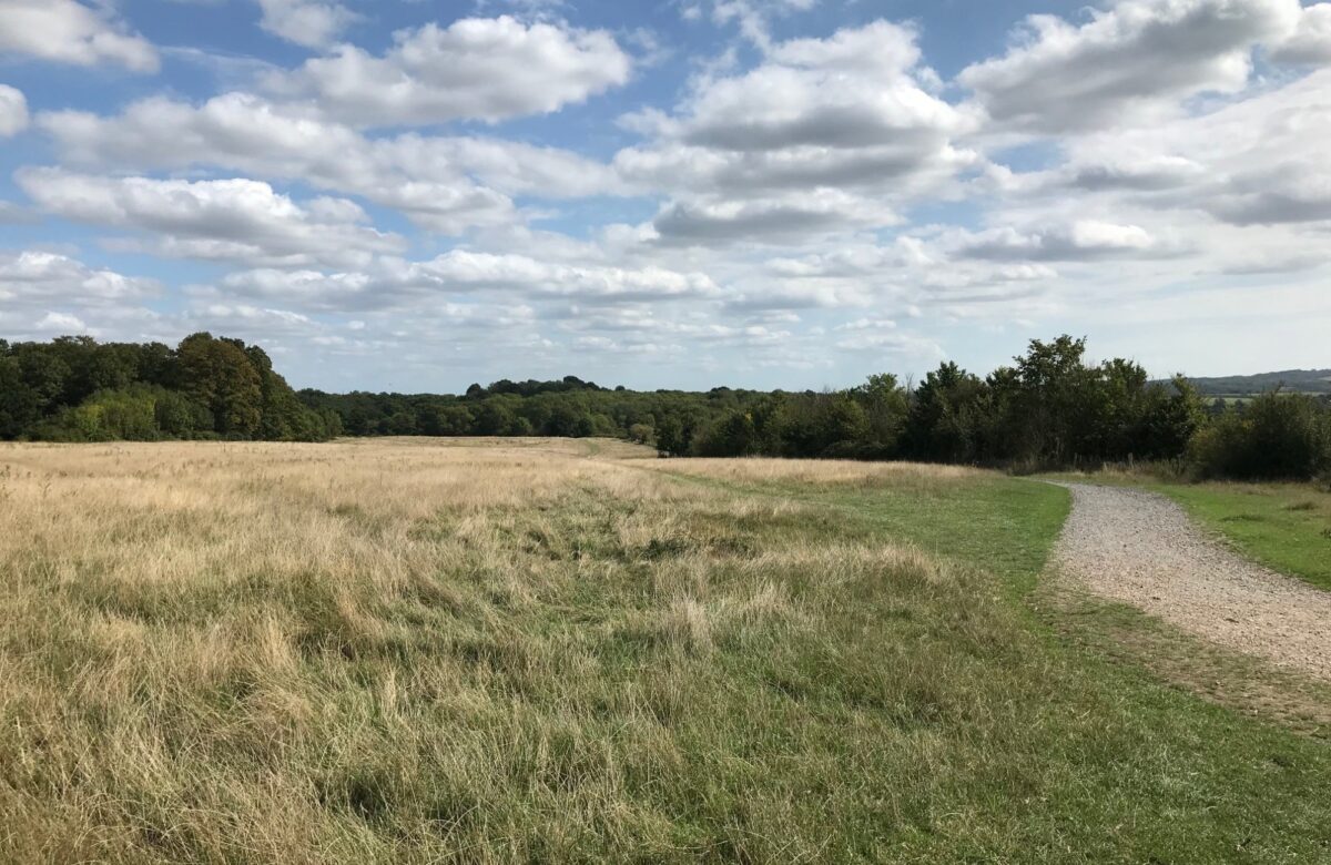 Thorndon South bridleway through pastures