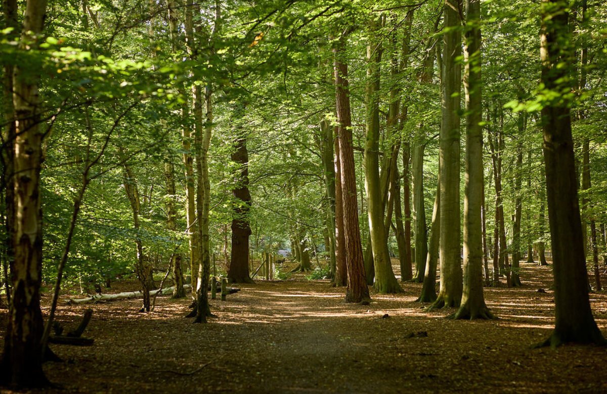 Thorndon Sept22 0001