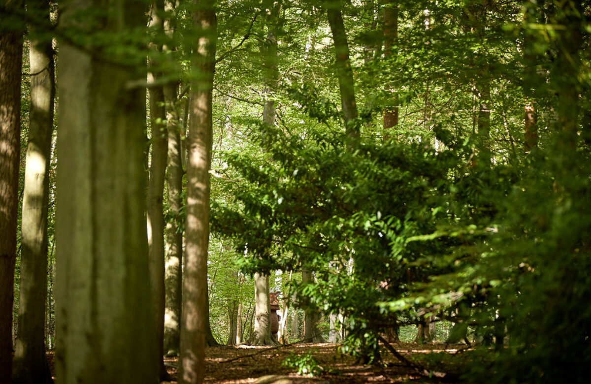 Thorndon Sept22 0281