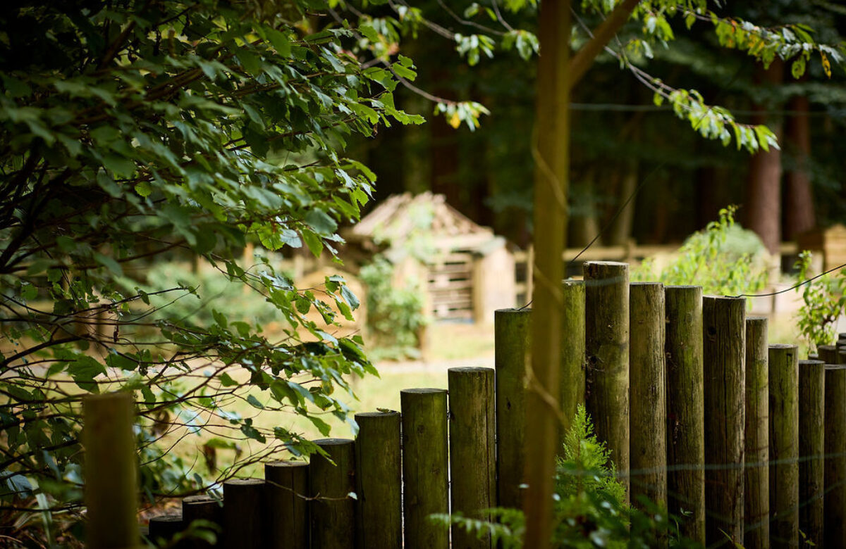 Thorndon Sept22 0714