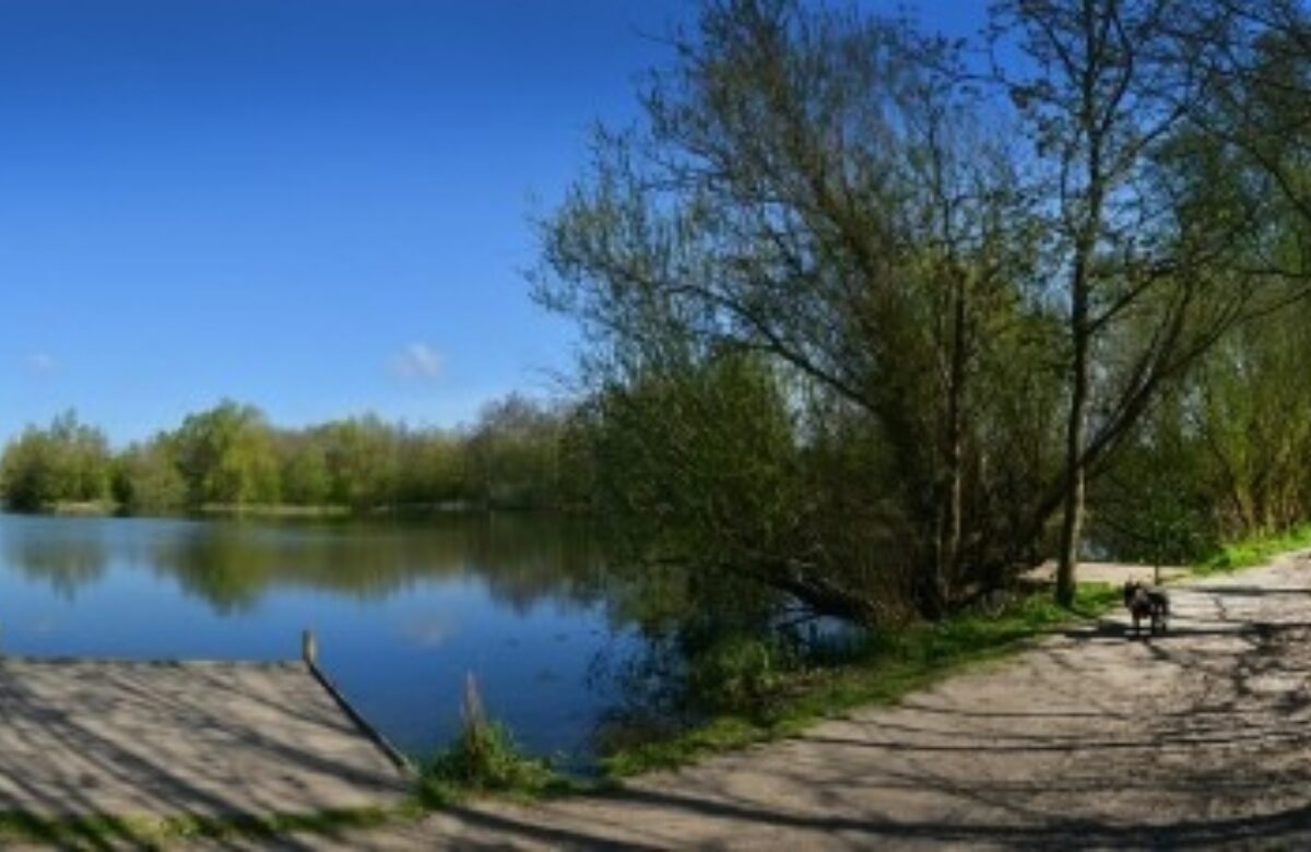 Belhus woods jetty lake path dog walker1 440x227
