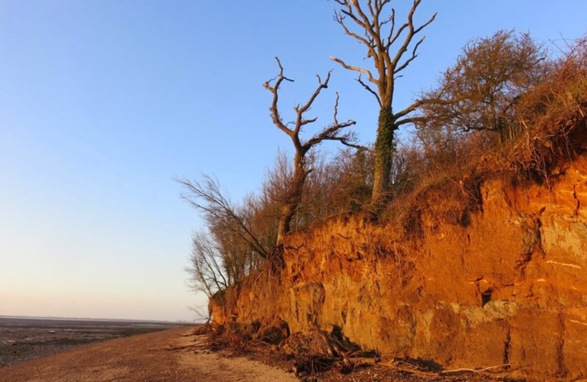 The coast at Cudmore Grove at sunset