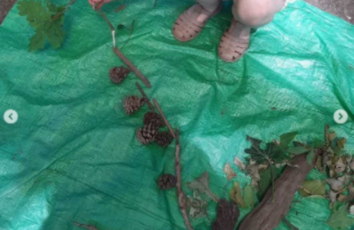 Entry by Wivenhoe Park Day Nursery