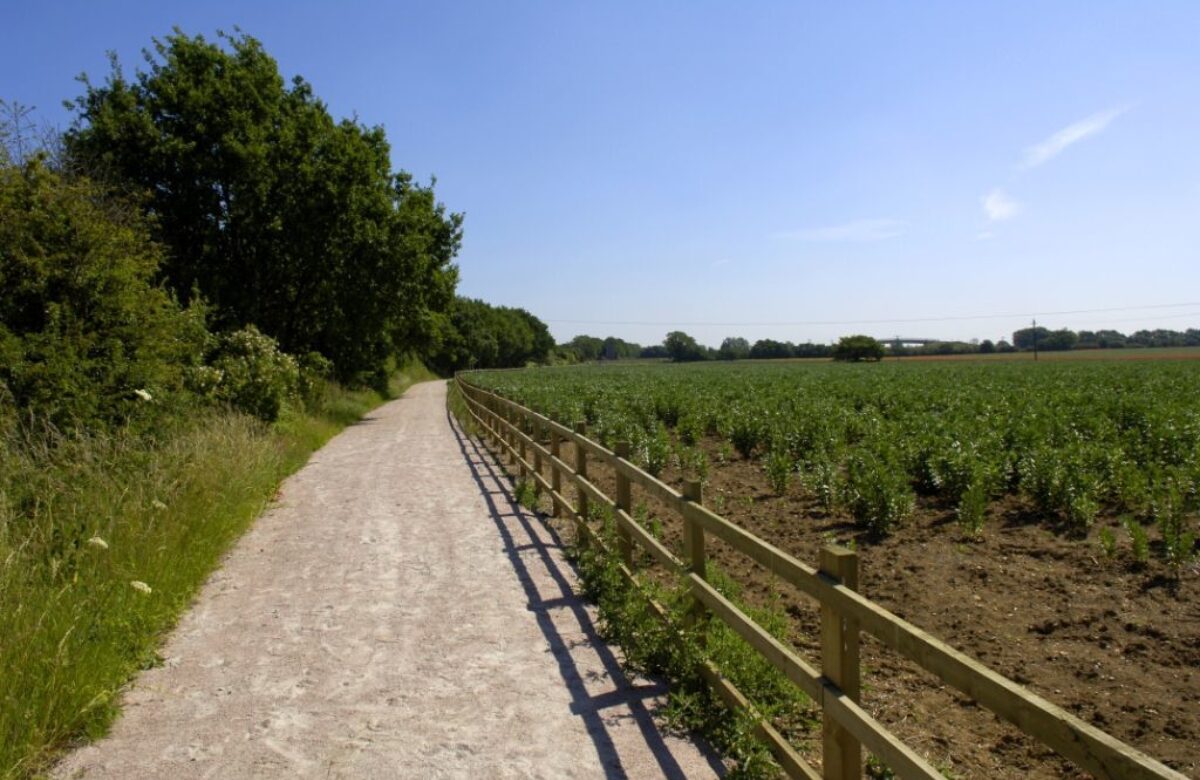 Flitch Way trail and field