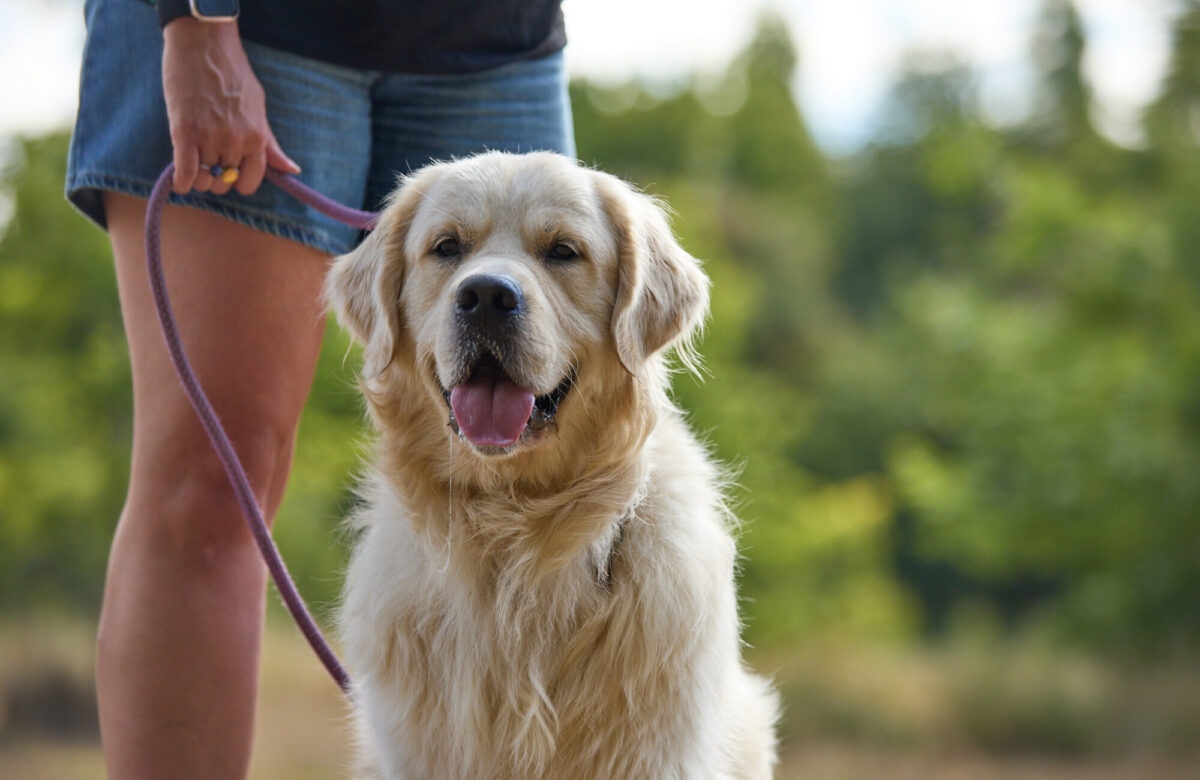 Lo res EE Notley 25 0014