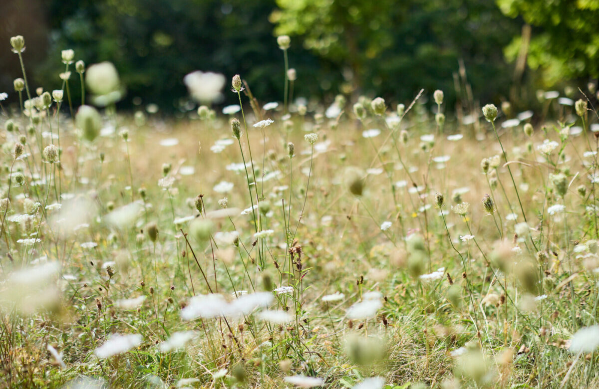 Lo res EE Danbury Aug24 159