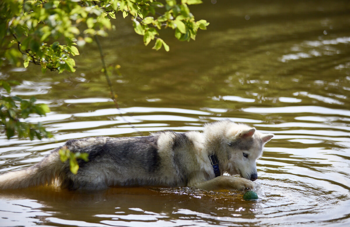 Lo res EE Danbury Aug24 175