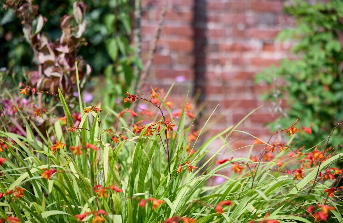 Lo res EE Danbury Aug24 340