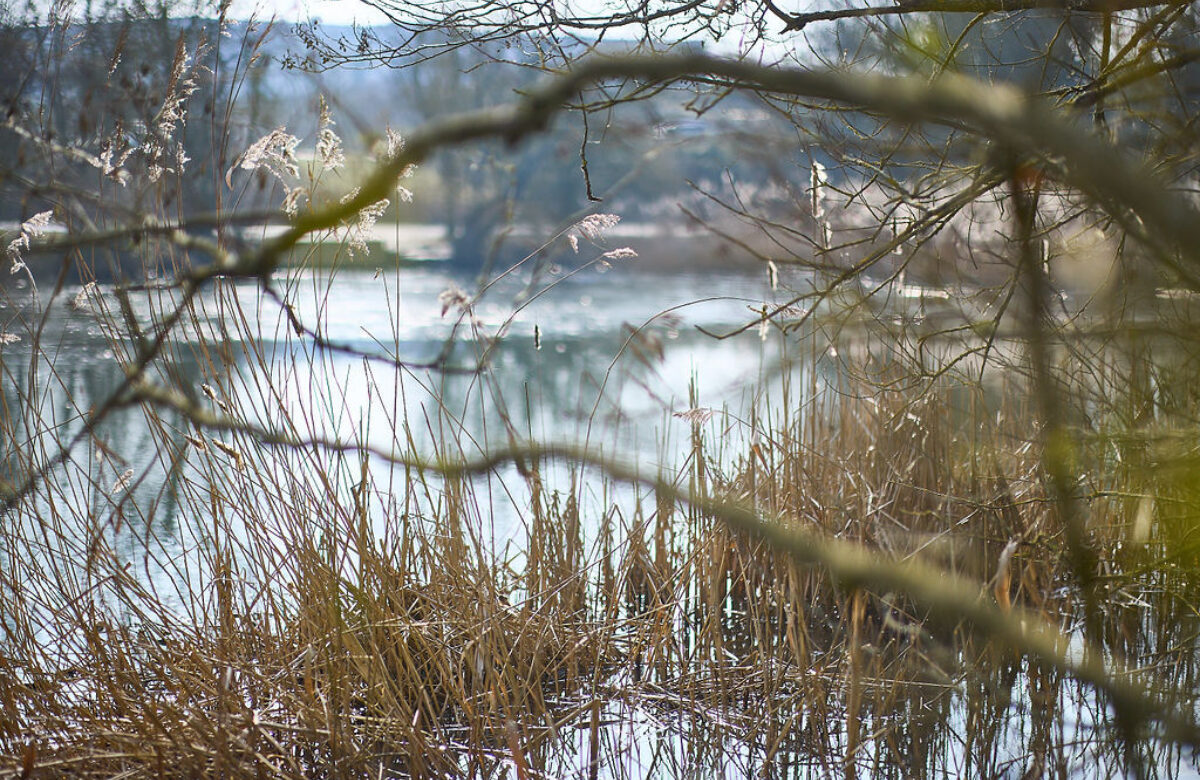 Lo res EE Notley Feb25 444