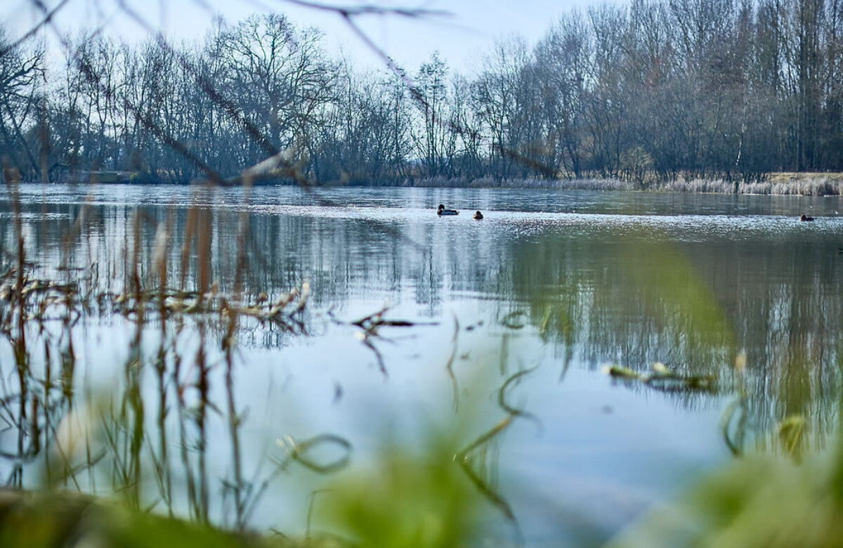 Lo res EE Notley Feb25 477