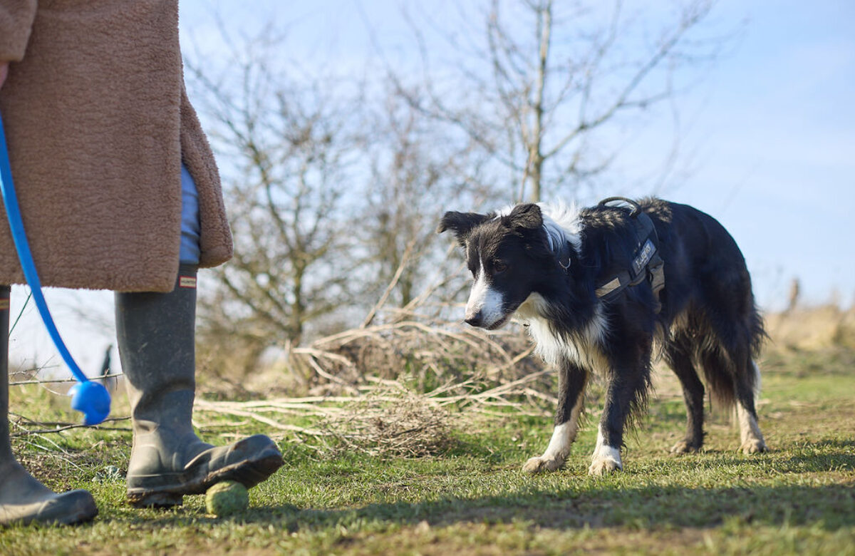 Lo res EE Notley Feb25 912